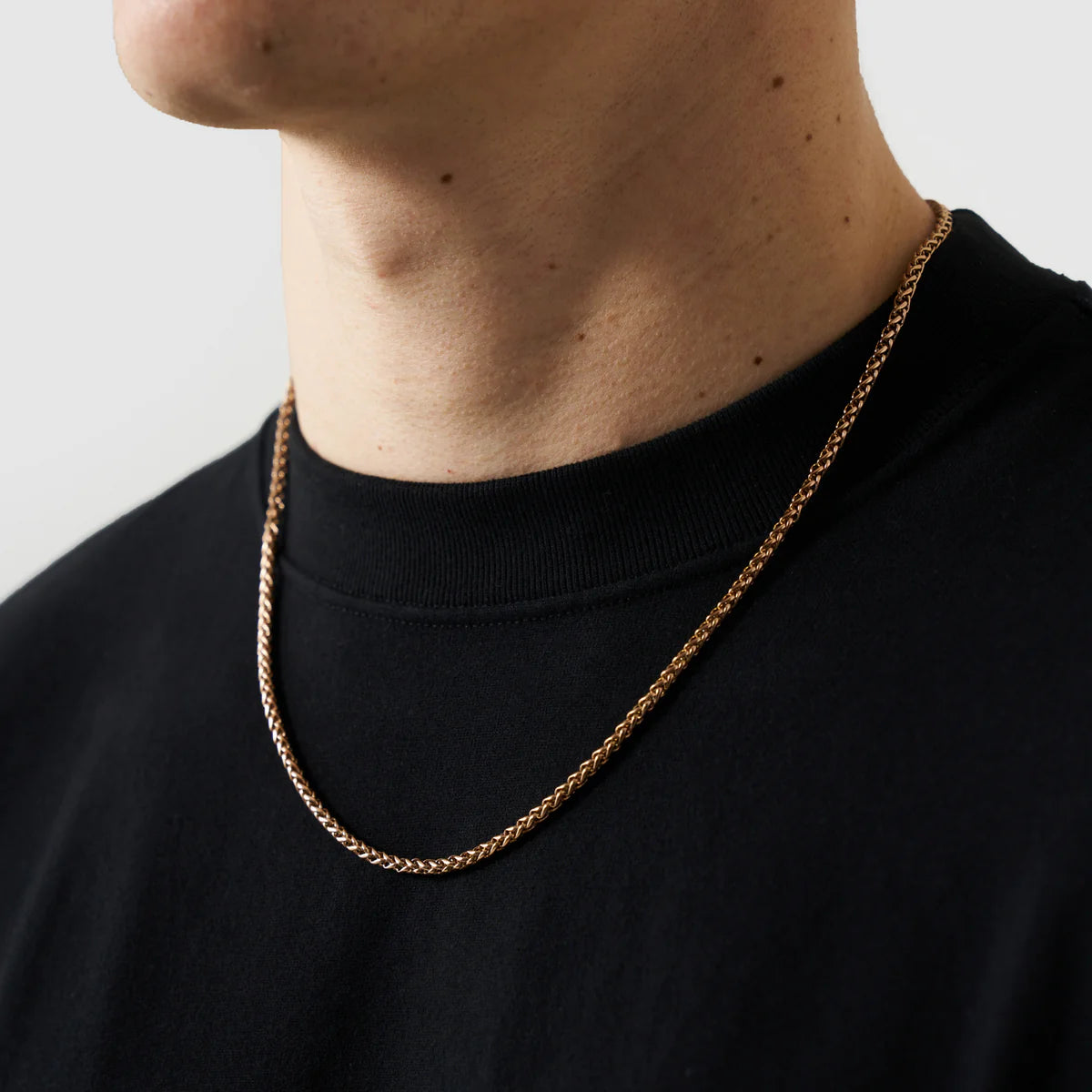 MONTAVIER® CASTOR