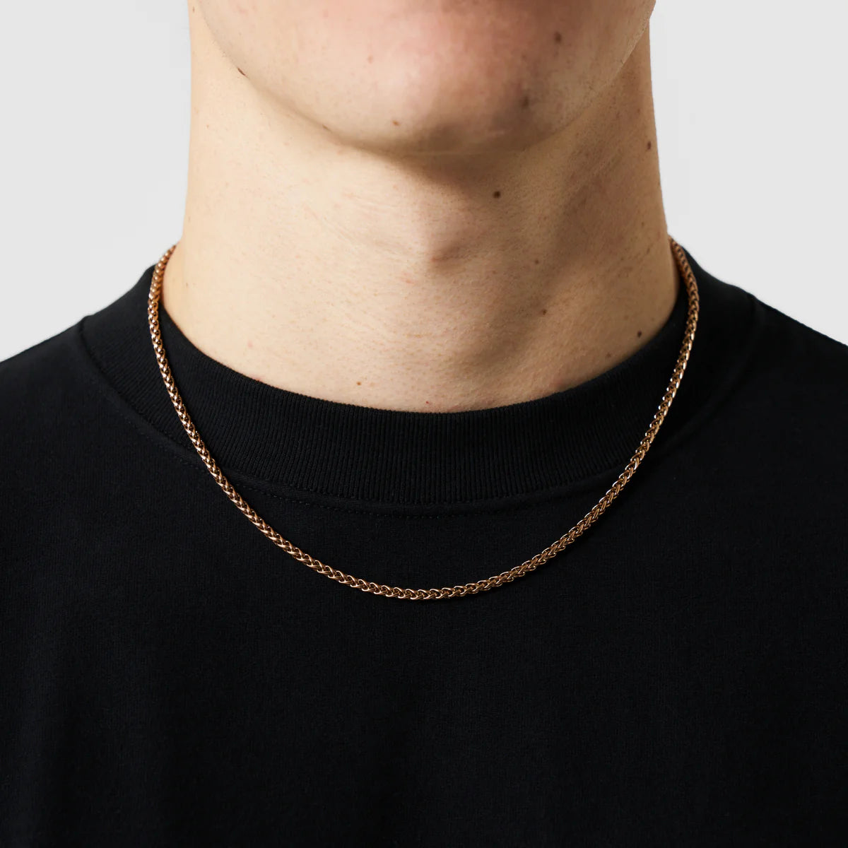 MONTAVIER® CASTOR