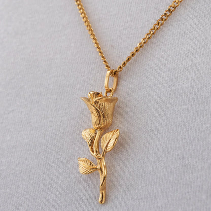 MONTAVIER® ROSE